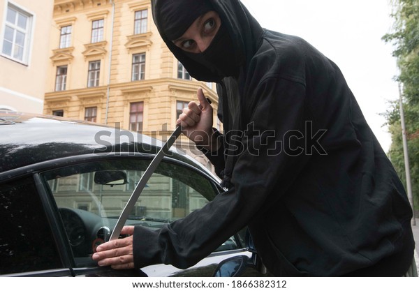 breaking into a car, car theft and stealing as a\
criminal offense