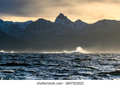 breaking waves on the Nordland coast in Norway