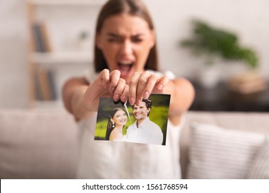 Breakup. Furious Woman Ripping Wedding Photo With Ex-Husband Sitting On Sofa Indoor After Divorce. Selective Focus