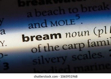 bream word in a dictionary. bream concept.