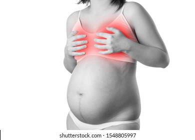 Breast Pain During Pregnancy, Swelling Of Mammary Glands Isolated On White Background