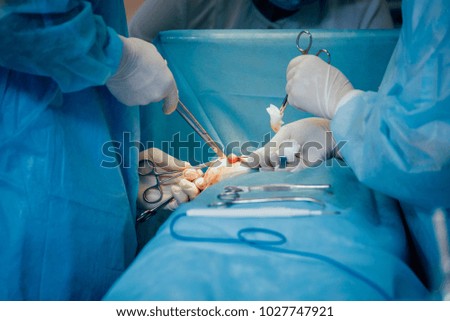 Breast surgery in the operating room. Hospital