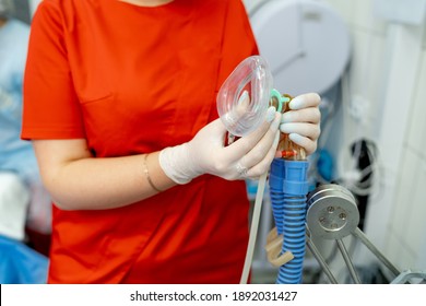 Breathing Anaesthesiology Face Mask Held In Hands In Latex Transparent Gloves. Attach Filter Visible. Clinic Background.