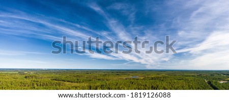 Breathtaking Aerial View of Endless Scandinavian green pine tree forest up to horizon line, blue sky with cirrus clouds. Sunny summer day, Typical Northern Scandinavia landscape in subpolar regions