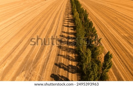 Similar – Erntemaschine, die im Feld arbeitet. Kombinierte Maschine