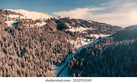 A breathtaking aerial view of a snow-covered mountain landscape with dense evergreen forests and open meadows bathed in golden sunlight, showcasing serene winter beauty. - Powered by Shutterstock