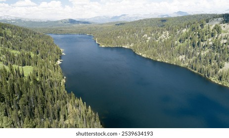 A breathtaking aerial view of a tranquil lake enveloped by lush, dense forest, with distant mountain ranges under a clear, blue sky. A perfect depiction of nature's untouched beauty. - Powered by Shutterstock