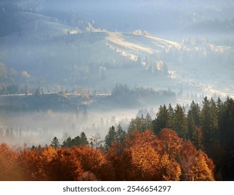 Breathtaking autumn landscape with valley blanketed in morning mist. Vibrant, colorful foliage of deciduous trees in the foreground, leading to rolling hills and scattered evergreen forests. - Powered by Shutterstock