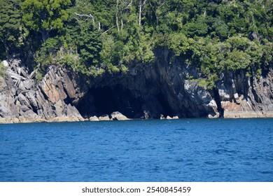 Breathtaking Coastal View of Milford Sound in Fiordland National Park, South Island, New Zealand, with Sea, Rocky Shoreline, Cave Inlet, and Lush Green Trees on Top - Powered by Shutterstock