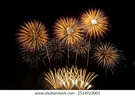 A breathtaking display of multicolored fireworks exploding in a pitch-black sky, symbolizing celebration and joy.
