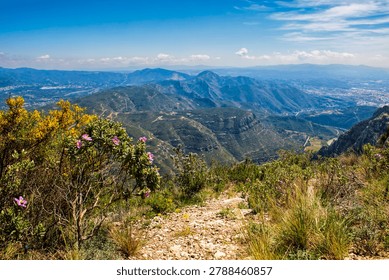 A breathtaking high-angle panoramic view overlooking the lush green valleys and rolling hills from the Montserrat mountain range, with vibrant pink and yellow wildflowers in the foreground under a bright blue summer sky