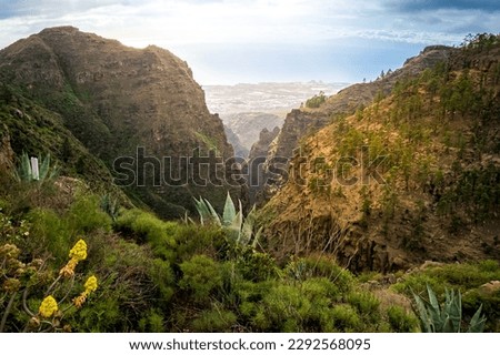 A breathtaking high-angle view of Barranco del infierno ravine, Hell's gorge, revealing the coastline of Adeje and the Atlantic ocean under warm sunlight in Tenerife with volcanic rock formations.
