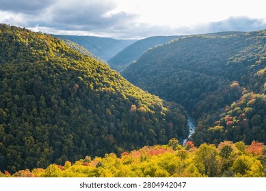A breathtaking high-angle view of a deep, tree-covered valley during the autumn season, showcasing vibrant shades of gold, orange, and red foliage as the sun breaks through the clouds over the gorge.