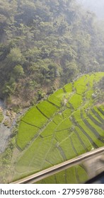 A breathtaking high-angle view looking down into a lush, green valley filled with traditional terraced rice fields. The vibrant green crops are meticulously arranged in curved, stepped patterns along the hillside.