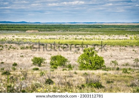 A breathtaking landscape of endless grassy plains dotted with marsh and wetland, extending to the horizon beneath a beautiful sky in San Angelo State Park, Texas.