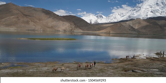 Breathtaking Landscape In Pamir Mountains XUAR Akto County Camel Upon
 Arriving At Lake Kalakule