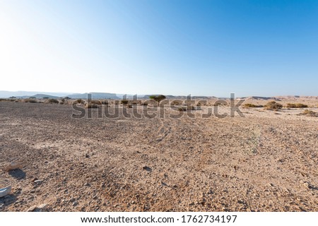 Breathtaking landscape of the rock formations in the Israel desert. Dusty mountains interrupted by wadis  and deep craters.