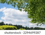 A breathtaking natural spectacle.  A big white cloud encircled by a dense forest. The skyscape is enhanced by sunshine shining through parts of the woodland. Ideal for designing travel background.