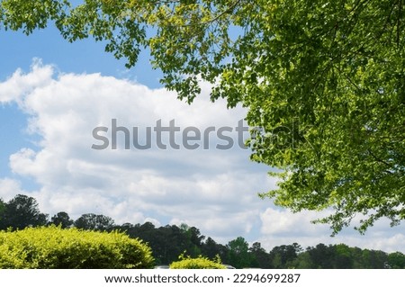 A breathtaking natural spectacle.  A big white cloud encircled by a dense forest. The skyscape is enhanced by sunshine shining through parts of the woodland. Ideal for designing travel background.