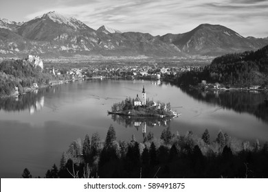 breathtaking overhanging view on picturesque landscape with stunning lake bled and island surrounded by julian alps with nude tree in winter in black and white, bled, slovenia