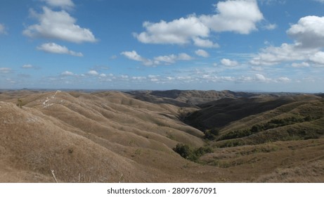 Breathtaking panoramic view of the iconic Bukit Warinding (Wairinding Hill) in East Sumba, East Nusa Tenggara, Indonesia. This magnificent landscape showcases the majestic rolling savanna hills stretching infinitely under a dramatic blue sky with scattered white clouds. Depending on the season, the endless layers of undulating hills turn into a lush vibrant green during the rainy season or a golden brown desert-like scenery during the dry season. This popular travel destination offers a serene and peaceful atmosphere, making it a perfect spot for nature photography, adventure tourism, and watching beautiful sunsets in the heart of Sumba Island