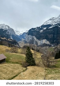 A breathtaking panoramic view looking across the deep glacial canyon of the Lauterbrunnen Valley from Wengen, Switzerland. The towering, snow-covered summit of the Breithorn and neighboring peaks of the Bernese Alps rise dramatically against a clear, vibrant blue sky with a few soft white clouds. In the foreground, dark evergreen pine forests cover the steep mountain slopes in shadow, while a fragment of a traditional timbered alpine chalet sits on the left edge.