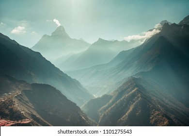 The breathtaking panoramic view the mighty misty snow-capped Himalayas and the canyons with the coniferous forests. Nepal. Ideal background for the various kinds of collages and illustrations.