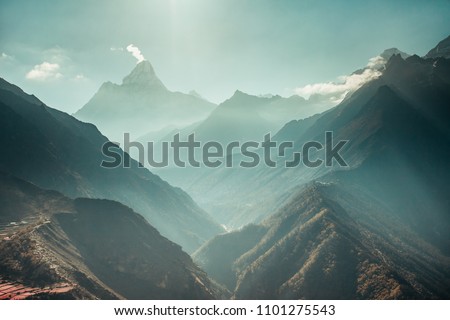 The breathtaking panoramic view the mighty misty snow-capped Himalayas and the canyons with the coniferous forests. Nepal. Ideal background for the various kinds of collages and illustrations.