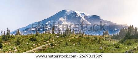 Breathtaking panoramic view of Mount Rainier with glaciers, alpine meadows, and evergreen forest on a sunny summer day. A perfect scene for nature, hiking, travel, and outdoor adventure themes.