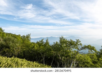 A breathtaking panoramic view from the summit of Mount Fuji, Japan's highest and most iconic volcano. The image captures the rugged volcanic crater, rocky ridges, winding hiking trails, and dramatic landscape above the clouds beneath a brilliant blue sky. This spectacular scene showcases the natural beauty and geological significance of Mount Fuji, a UNESCO World Heritage Site and one of Japan's most famous travel destinations. Ideal for themes of adventure, hiking, volcanic landscapes, nature, travel, and outdoor exploration.