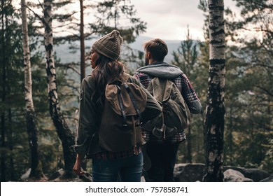 Breathtaking feelings? Rear view of young couple standing and looking away while hiking together in the woods