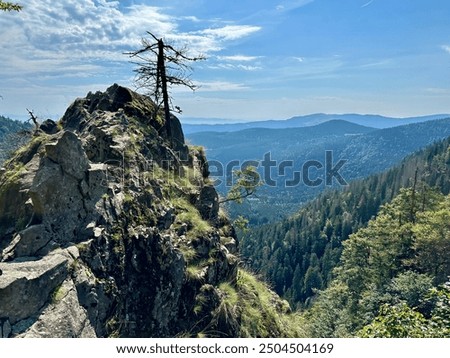Breathtaking Rocky Mountain Landscape from Sentier des Roches, GR 531 Hiking Trail in the Vosges, Alsace-Lorraine, France, Showcasing Lush Forests and Panoramic Views