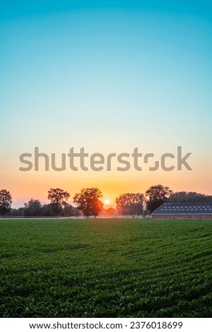 A breathtaking scene of a gradient blue to orange sunset sky with the sun gently setting just above the distant treeline, casting a warm glow over a serene meadow. Spectacular Sunset Sky Over Meadow