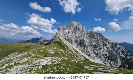 A breathtaking scene showcasing a rugged mountain peak, lush green meadows, and a brilliant blue sky. Ideal for outdoor enthusiasts and nature photographers. - Powered by Shutterstock