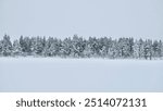 Breathtaking snowy landscapes from Kiruna, Sweden