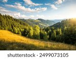 Breathtaking summer day in wild mountains with coniferous forest and green slopes. Location place Carpathian mountains, Ukraine, Europe. Sunshine vibe. Photo wallpaper. Discovery the beauty of earth.