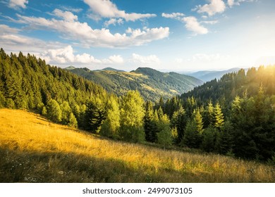 Breathtaking summer day in wild mountains with coniferous forest and green slopes. Location place Carpathian mountains, Ukraine, Europe. Sunshine vibe. Photo wallpaper. Discovery the beauty of earth. - Powered by Shutterstock