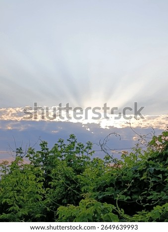 Breathtaking sunrays pierce through clouds, illuminating a vibrant green foreground. Captures hope, serenity, and natural beauty. Perfect for backgrounds, inspirational content, and travel themes.
