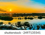 A breathtaking sunset over a tranquil marshland, with vibrant orange and blue hues reflecting in the water, capturing the serene beauty of nature.