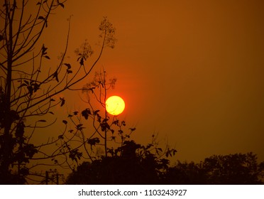 Breathtaking Sunset With The Sun Captured Behind The Twigs Of Trees In A Forced Perspective