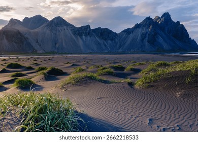 Breathtaking view of dramatic mountains rising from the sandy beach, illuminated by a warm twilight glow. Lush green grass stretches across unique sand patterns, showcasing Icelands natural beauty.