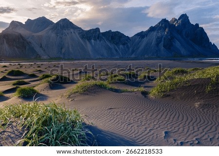 Breathtaking view of dramatic mountains rising from the sandy beach, illuminated by a warm twilight glow. Lush green grass stretches across unique sand patterns, showcasing Icelands natural beauty.