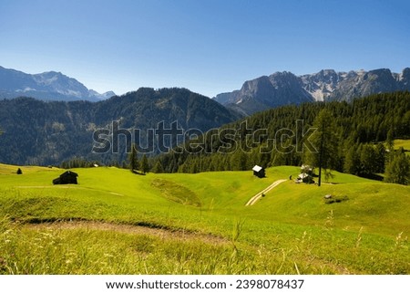 Breathtaking view of green alpine meadows and forests on slopes of Dolomites with impressive rocky peaks on sunny summer day, Italy..