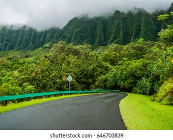 The Breathtaking View From Hoomaluhia Botanical Gardens