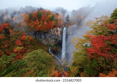 A breathtaking view of Kegon Waterfalls 華厳滝, which tumbles from Lake Chuzenji to a stream, and brilliant fall colors on the rocky cliffs on a foggy autumn day, in Nikko National Park, Tochigi, Japan