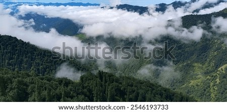 Similar – Image, Stock Photo An ethereal landscape showcasing a blur of golden wildflowers against a backdrop of serene trees under a soft, hazy sunrise