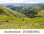 A breathtaking view of lush green hills unfolds, capturing the serenity of the French Pyrenees on the Camino de Santiago.