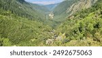 A breathtaking view of a lush green valley surrounded by the Carpathian Mountains.The dense forest and distant peaks create a picturesque scene perfect for nature enthusiasts and landscape photography