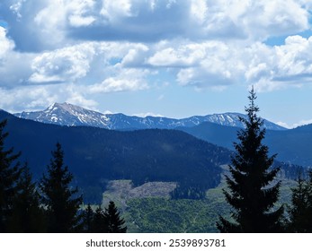 A breathtaking view of a mountain range with snow-capped peaks, nestled amidst lush green forests. - Powered by Shutterstock