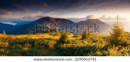 A breathtaking view of the mountain ranges in the evening sunlight. Location place Carpathian mountains, Ukraine, Europe. Photo wallpaper. Image of a natural background. Discover the beauty of earth. 商業照片 © 